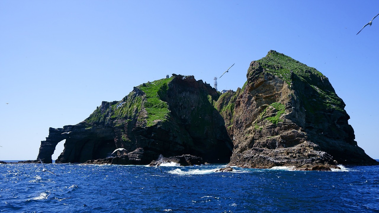 鈞魚(yú)島最新消息視頻揭秘，東海釣魚(yú)島爭(zhēng)端的新動(dòng)態(tài)