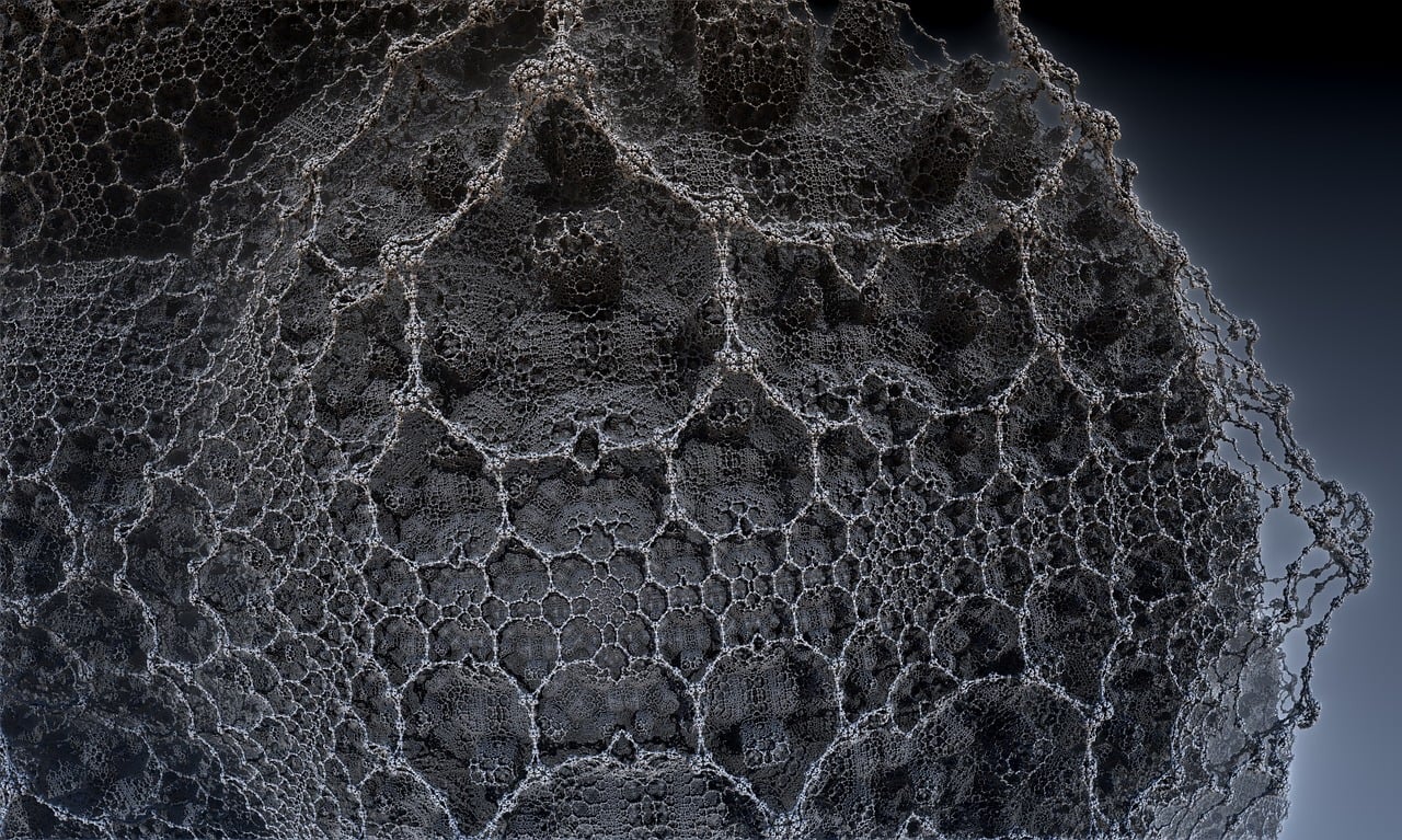 遼寧隋顯利最新動態(tài)，傳奇人物的嶄新篇章