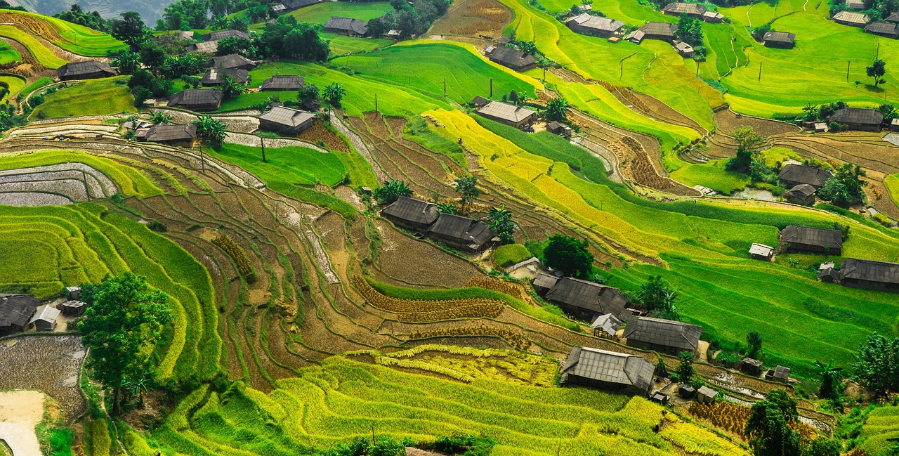 中緬合作新篇章，運(yùn)八飛機(jī)在緬甸的最新動(dòng)態(tài)與消息
