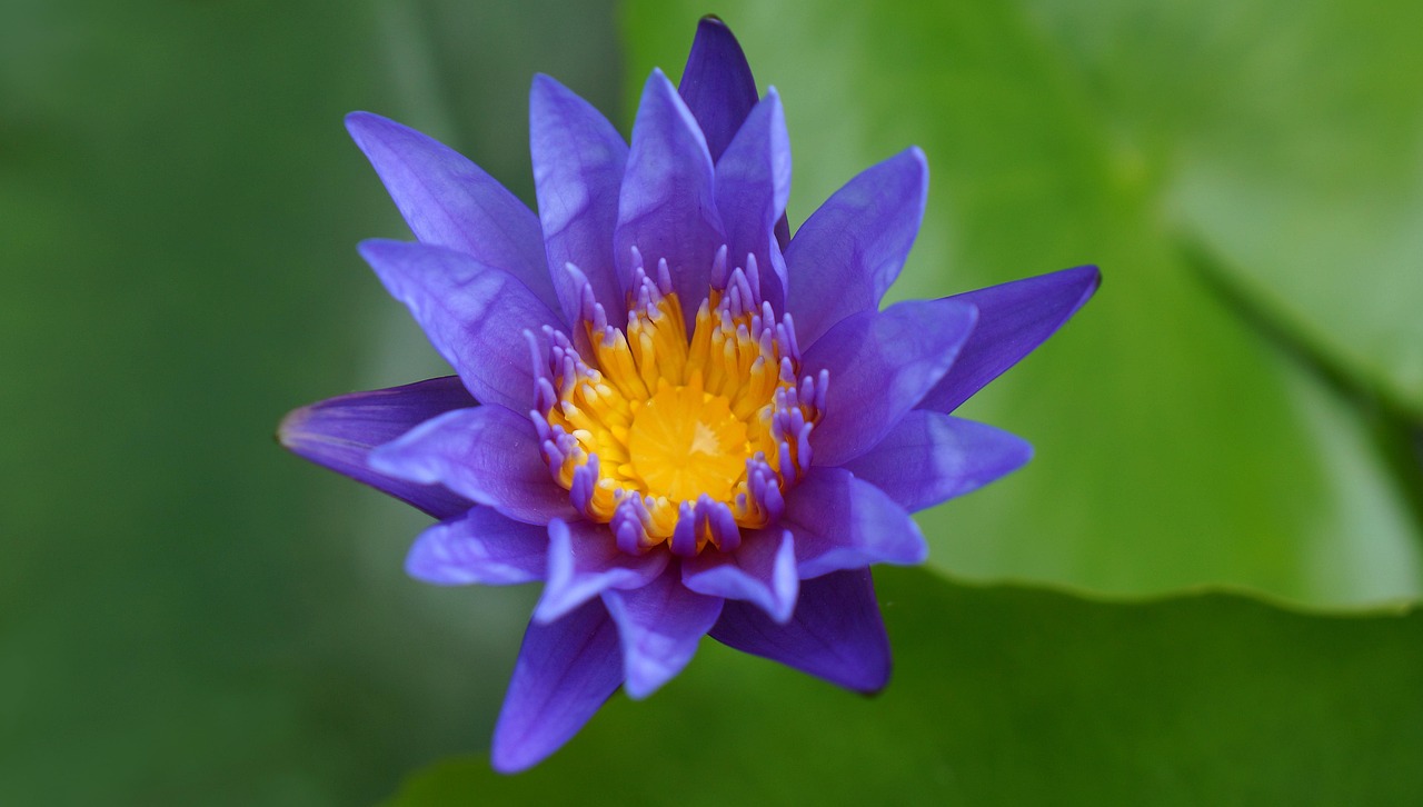 雙陽區(qū)火車站邁向現(xiàn)代化，提升服務(wù)質(zhì)量，最新動態(tài)報告