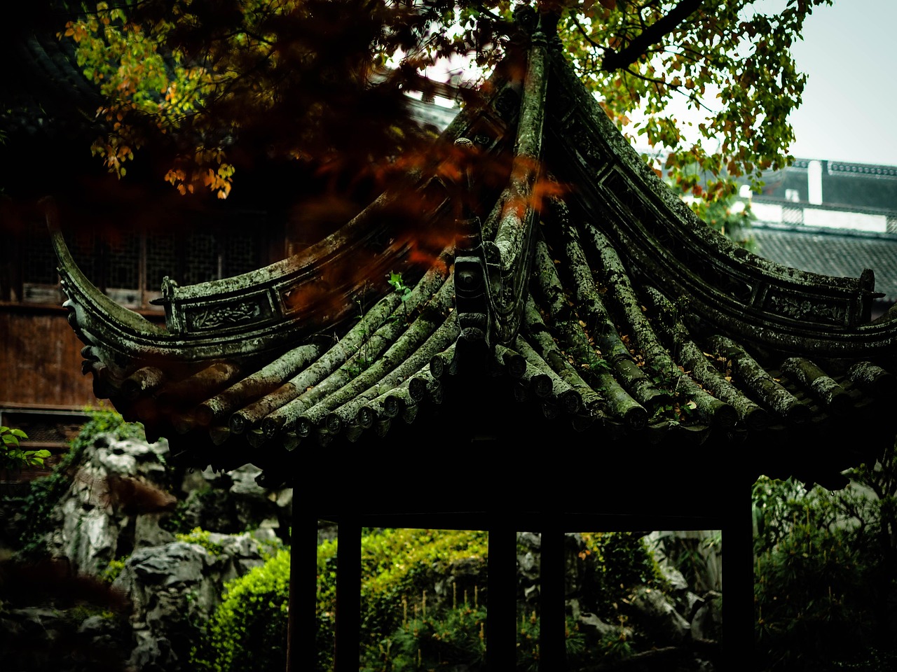 中國女排隊蓄勢待發(fā)，展現(xiàn)新篇章，最新消息與動態(tài)速遞