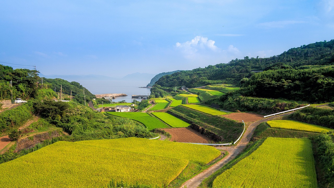 廣西靈山高速建設(shè)進(jìn)展揭秘，最新消息與未來(lái)展望