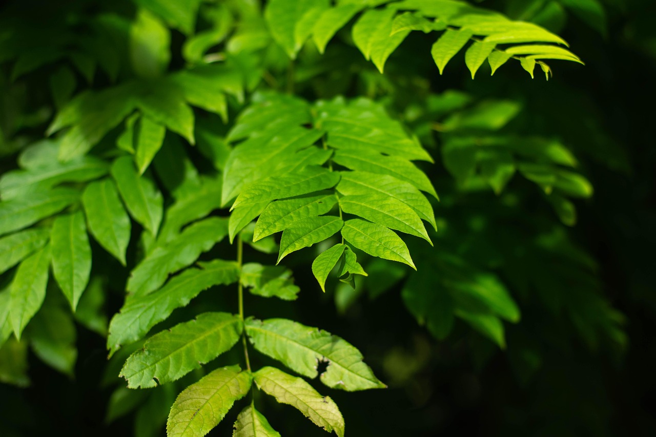 北海水印泉山最新動態(tài)，城市發(fā)展與綠色生態(tài)的和諧共鳴