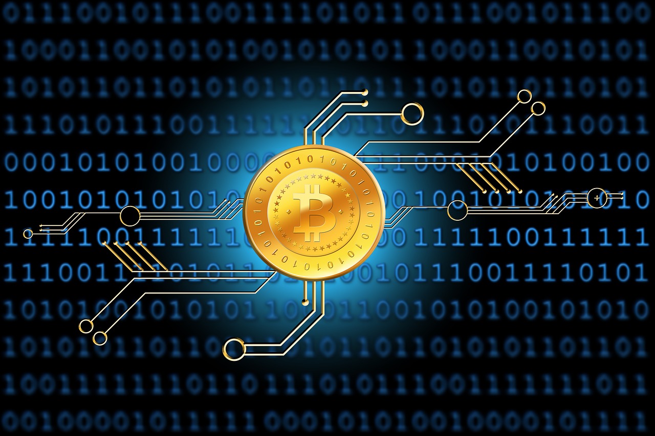 最新傳染病分類及種類概述，全面解析傳染病的世界