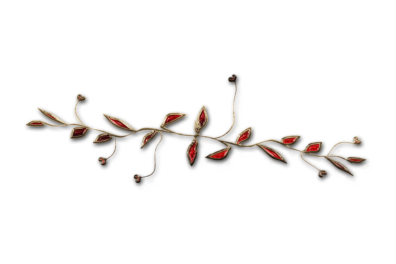 廣西大紅八角產(chǎn)業(yè)蓬勃發(fā)展，前景廣闊，最新消息與動(dòng)態(tài)