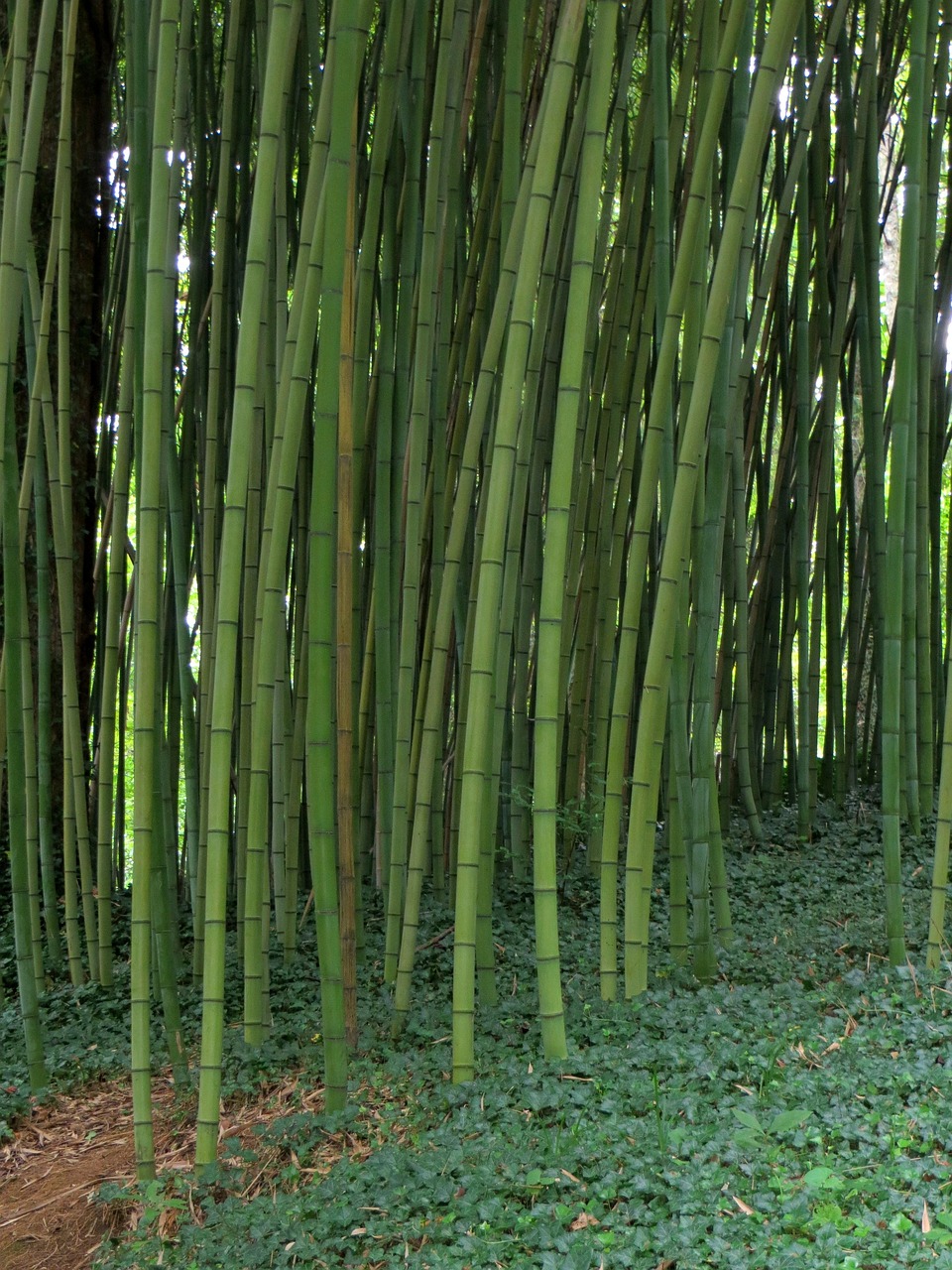 溫州全力備戰(zhàn)臺風(fēng)，溫州臺風(fēng)動態(tài)報(bào)告及應(yīng)對臺風(fēng)災(zāi)害的最新消息（2017年）