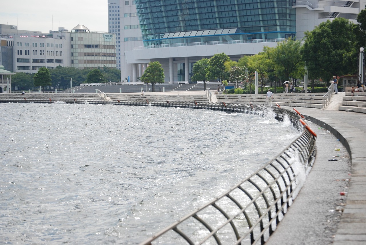 鄭州海昌海洋公園最新動態(tài)揭秘，揭開神秘面紗，展現(xiàn)海洋魅力奇觀