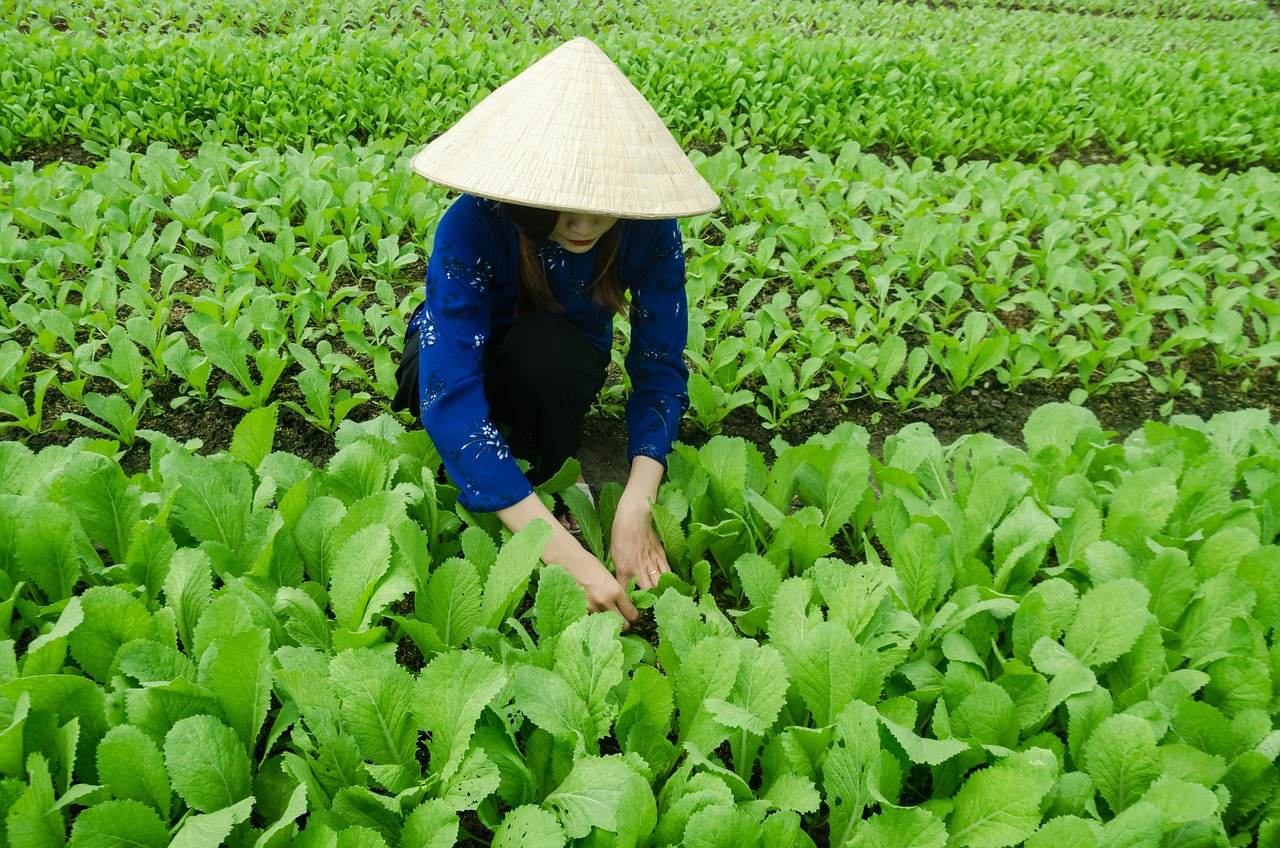戶戶通四代機(jī)最新動(dòng)態(tài)概覽